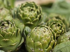 8 Things You Never Knew About Artichokes