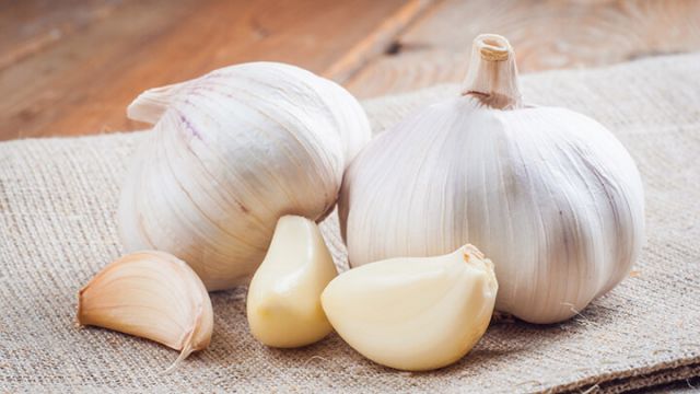 garlic