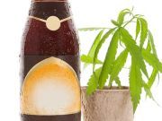Mixing Hemp And Beer (Good Or Bad?)