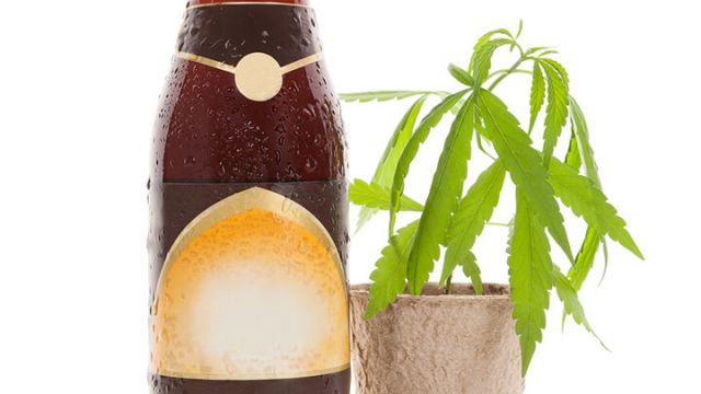hemp-beer