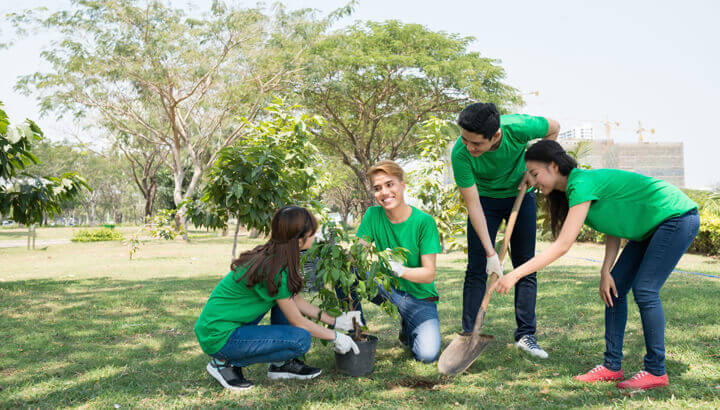 plant-trees-volunteering