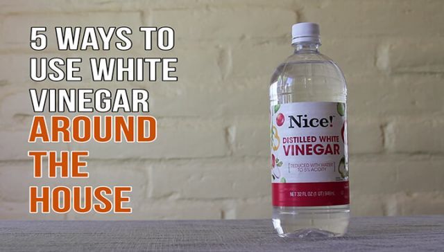 WATCH: 5 Ways To Use White Vinegar Around The House