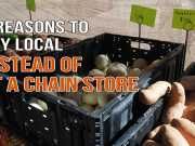 WATCH: 5 Reasons To Buy Local Instead Of At A Chain Store