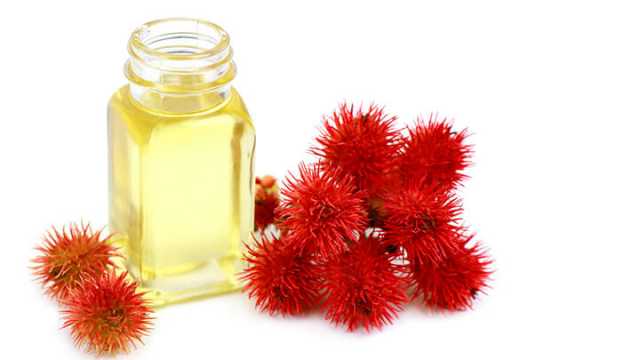 Castor Oil