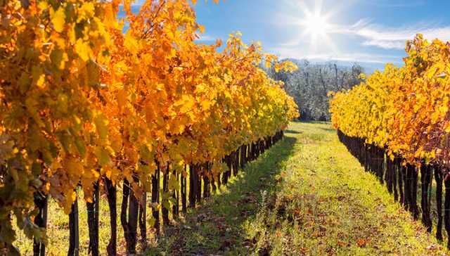 3 Fantastic Fall Trips You Must Take