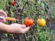 This #1 Goal Of Food Companies Is Killing You