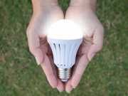 Energy Efficient Light Bulbs Are Toxic