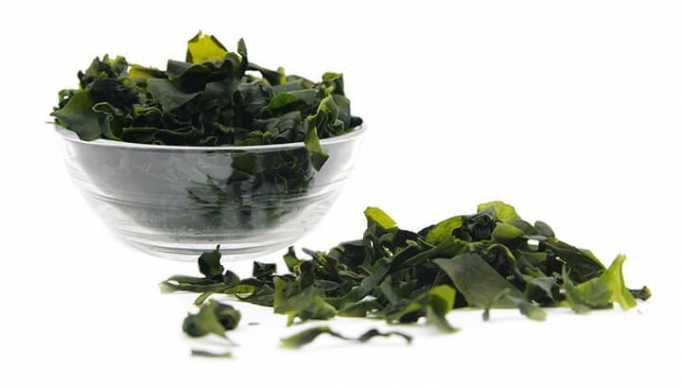 Why Seaweed Is The New Gold