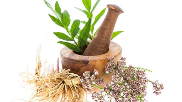 Valerian Root For Insomnia