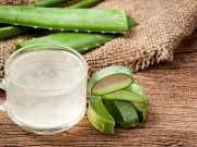 20 Reasons To Drink Aloe Vera Juice