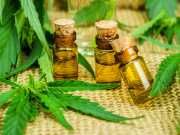 Yes, Cannabis Oil Is Good For You: Here’s Why