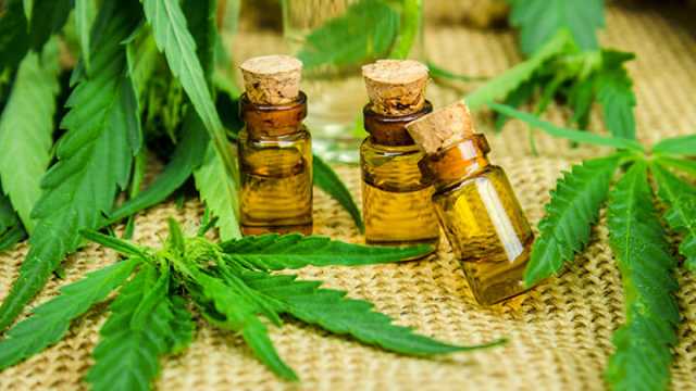 Cannabis Oil Health Benefits