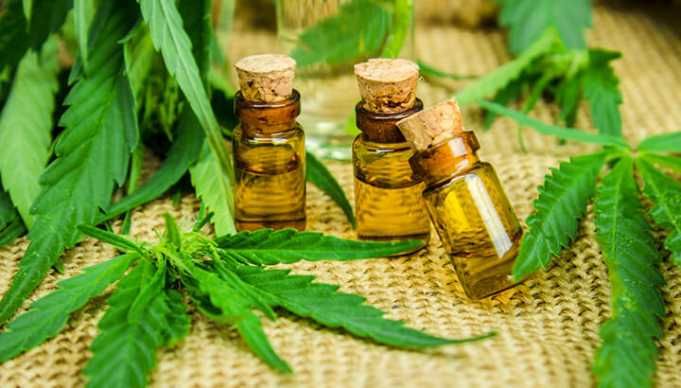 Yes, Cannabis Oil Is Good For You: Here’s Why