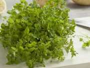 Reduce Inflammation And Control Weight With Chickweed Tincture