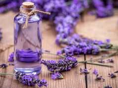 5 Reasons To Put Essential Oils On The Soles Of Your Feet