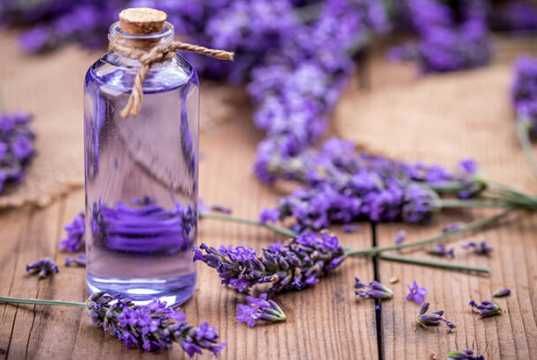 5 Reasons To Put Essential Oils On The Soles Of Your Feet