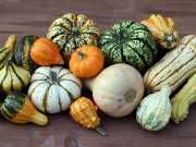 12 Fall Foods To Eat Now