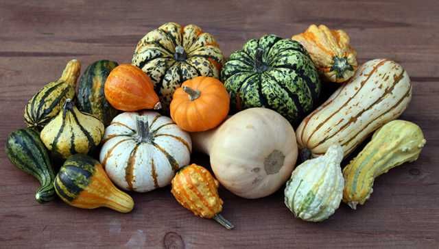 12 Fall Foods To Eat Now