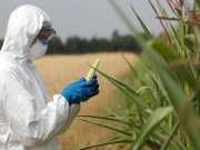 The Great GMO Debate: What You Need To Know