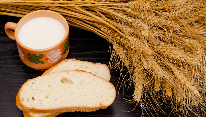 Leaky gut symptoms from bread and milk
