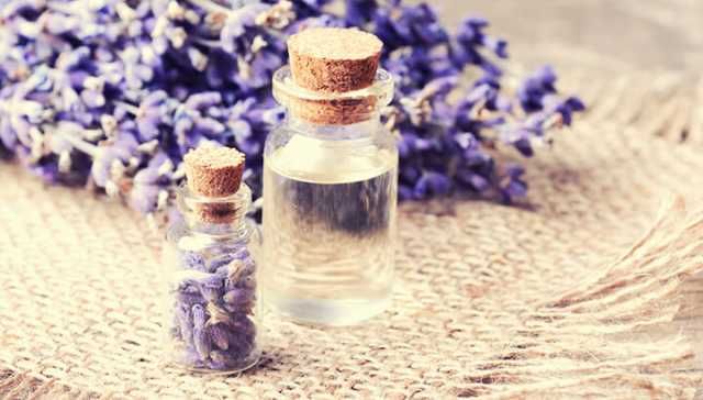 How To Reduce Anxiety With Lavender