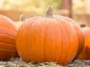 11 Reasons To Eat More Pumpkin And How To Do It