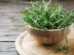 Research Says Rosemary Prevents Brain Aging