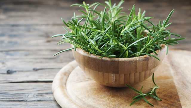 Research Says Rosemary Prevents Brain Aging