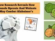 New Research Reveals How Brussels Sprouts And Walnuts May Combat Alzheimer’s