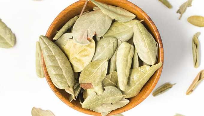 Drink This Chilean Tea To Cleanse Your Liver And More