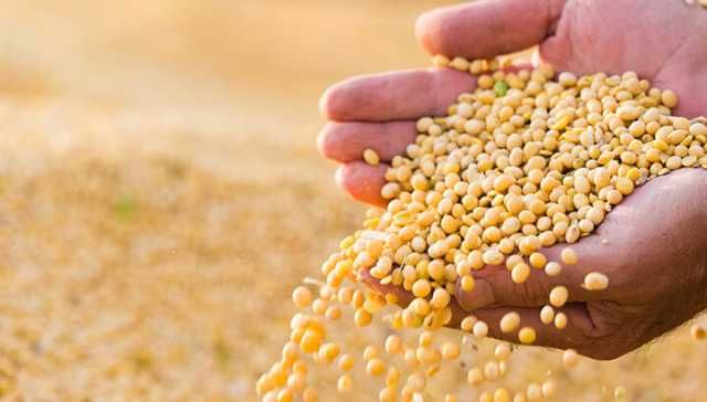 The Toxic Food You Eat Daily