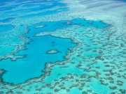 The Great Barrier Reef Experiences Worst Die-Off Yet