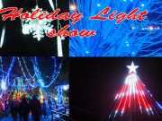 WATCH: Holiday Light Show