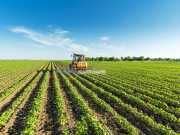 EPA Approves Yet Another Toxin For Monsanto