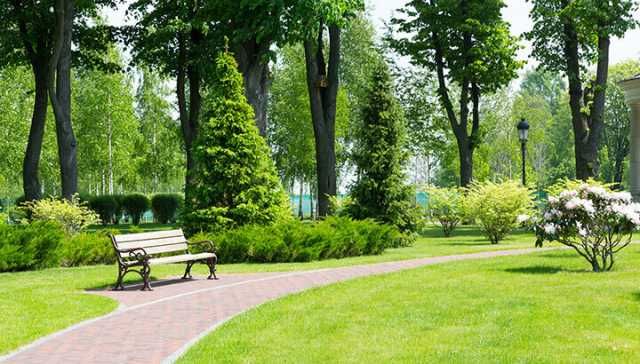 These Two Very Simple Things Could Save Your Life