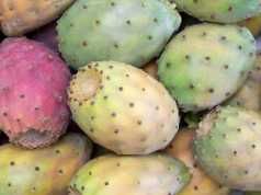 What Is Prickly Pear And Do I Need To Eat It?