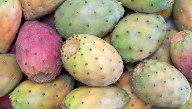 What Is Prickly Pear And Do I Need To Eat It?