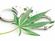 Why It’s Time To End The War On Weed