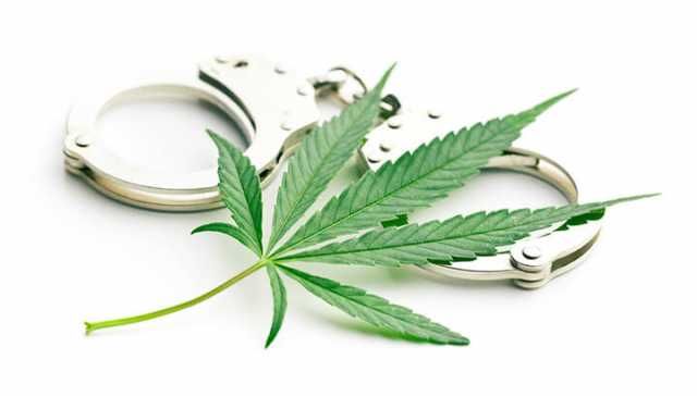 Why It’s Time To End The War On Weed