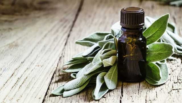 7 Reasons To Use Sage Oil