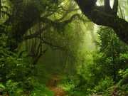 Study Finds Climate Change Is Causing Widespread Local Extinction