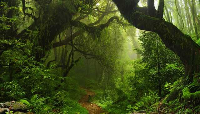 Study Finds Climate Change Is Causing Widespread Local Extinction