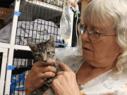 This Woman Risked Her Life For 24 Cats, Then Did Something Incredible