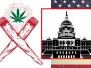 Weed Activists To Hand Out 4,200 Free Joints At Trump Protest