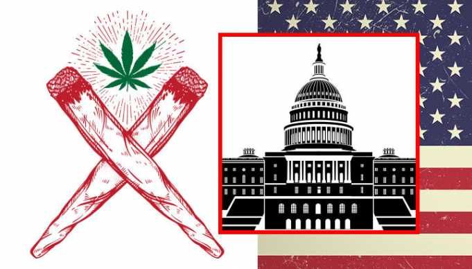Weed Activists To Hand Out 4,200 Free Joints At Trump Protest