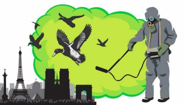 Would You Kill 800,000 Birds For This?