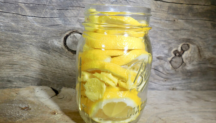 Lemon, ginger and honey cold and flu remedy Photo 4