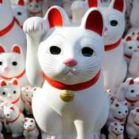 Maneki-Neko brings good luck in Japan