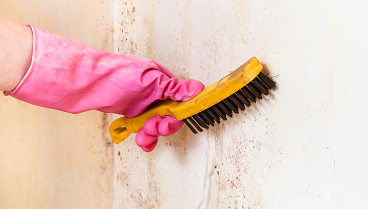 Cleaning the kitchen to get rid of mold and dirt can protect your health.