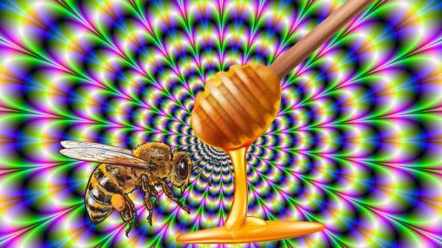 Is eating Himalayan honey a good idea?